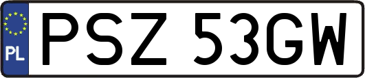 PSZ53GW