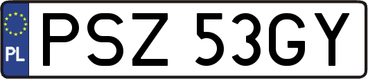 PSZ53GY