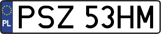 PSZ53HM