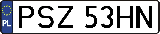 PSZ53HN