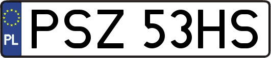 PSZ53HS