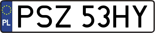 PSZ53HY