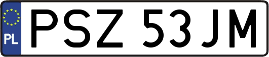 PSZ53JM
