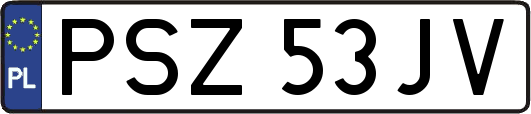 PSZ53JV
