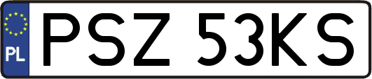PSZ53KS