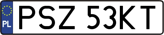 PSZ53KT