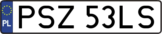 PSZ53LS