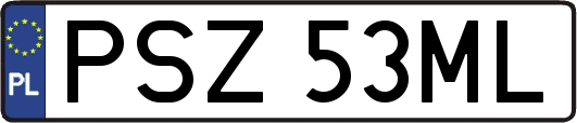 PSZ53ML