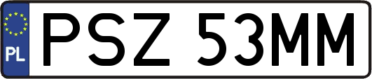 PSZ53MM