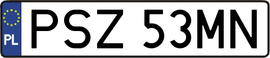 PSZ53MN