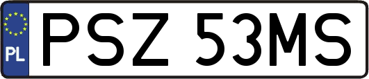 PSZ53MS