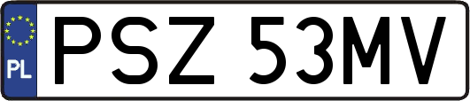 PSZ53MV