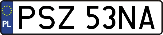 PSZ53NA