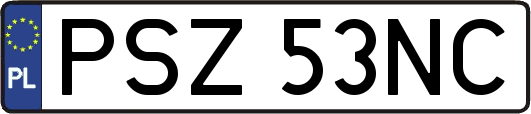 PSZ53NC