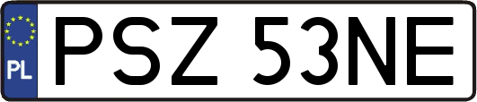 PSZ53NE