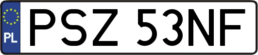 PSZ53NF