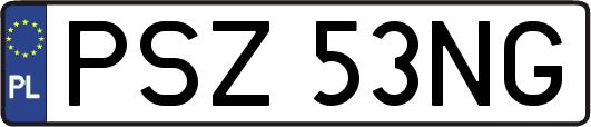 PSZ53NG