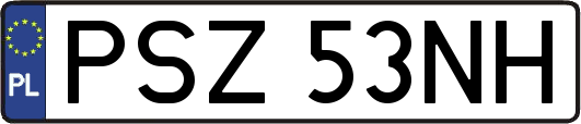 PSZ53NH