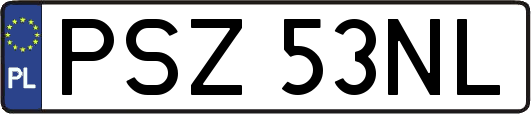 PSZ53NL