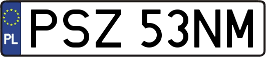 PSZ53NM