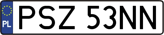 PSZ53NN