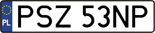 PSZ53NP