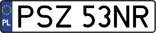 PSZ53NR