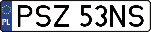 PSZ53NS