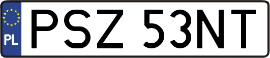 PSZ53NT