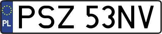 PSZ53NV