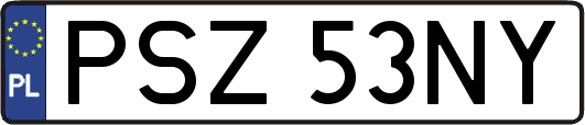 PSZ53NY
