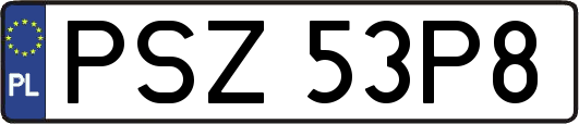 PSZ53P8