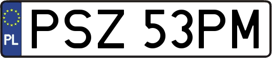 PSZ53PM