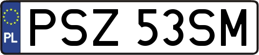 PSZ53SM