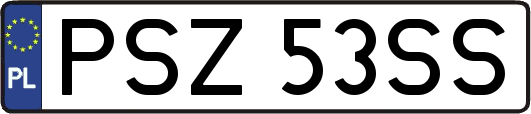 PSZ53SS