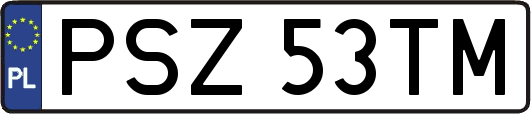 PSZ53TM