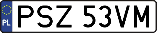 PSZ53VM