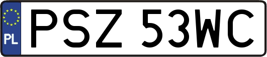 PSZ53WC
