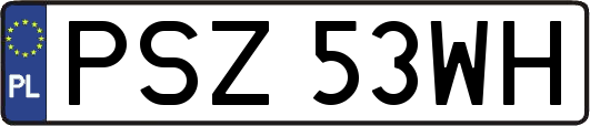 PSZ53WH