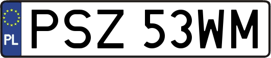 PSZ53WM