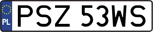 PSZ53WS