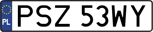 PSZ53WY