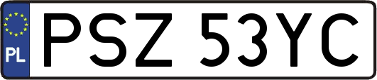 PSZ53YC