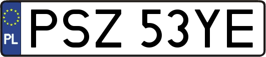 PSZ53YE
