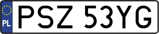 PSZ53YG