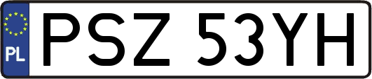 PSZ53YH