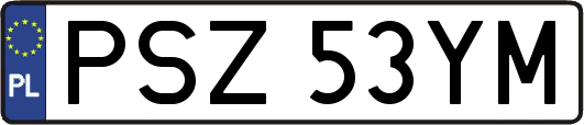 PSZ53YM