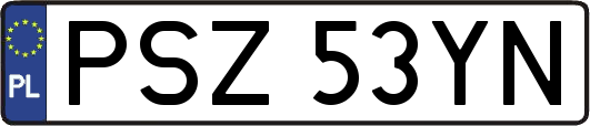 PSZ53YN