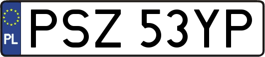 PSZ53YP