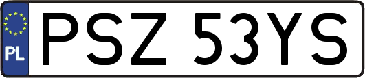 PSZ53YS